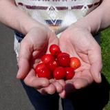 1507G 09 Fulda Radweg